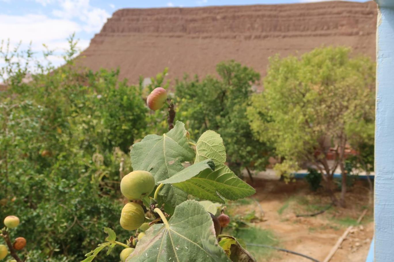 Gite D'Etape Ziz Oasis Achbarou Εξωτερικό φωτογραφία