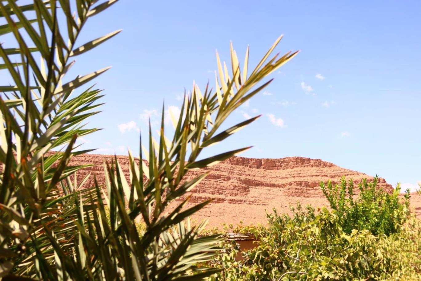 Gite D'Etape Ziz Oasis Achbarou Εξωτερικό φωτογραφία