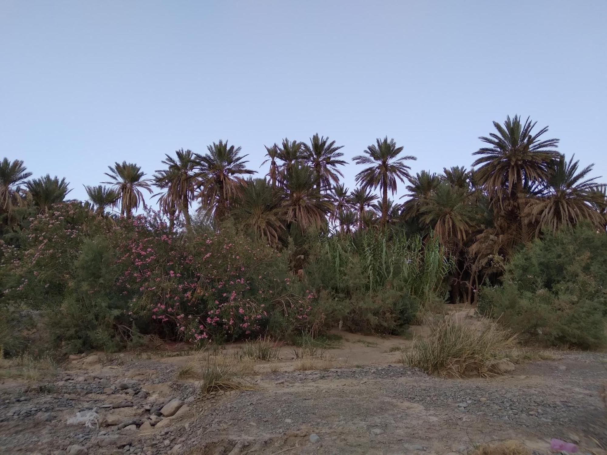Gite D'Etape Ziz Oasis Achbarou Εξωτερικό φωτογραφία